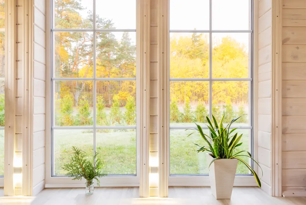 Fall Cleanups At Your Home