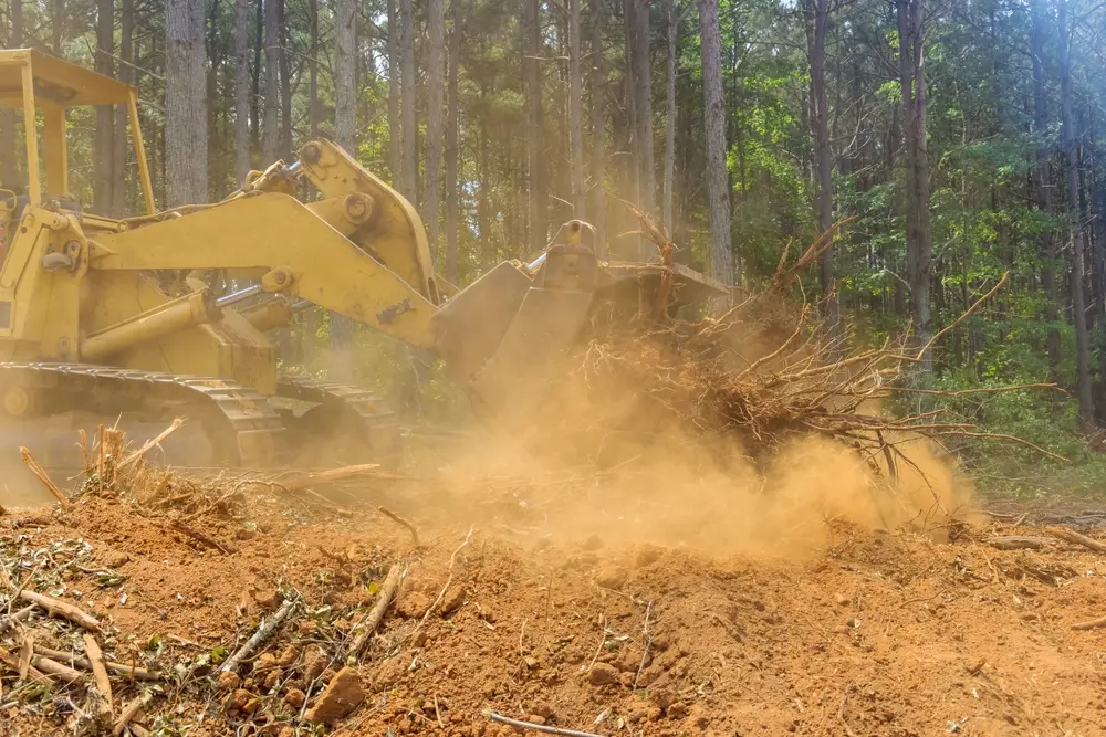 Economics of Site Clearing