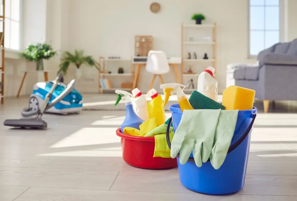 Spring Cleaning In Holland, Michigan